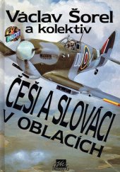 kniha Češi a Slováci v oblacích, Mustang 1993