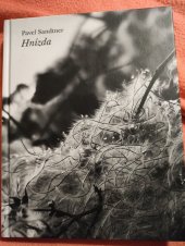 kniha Hnízda, Stará škola v Borovanech 2025