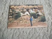 kniha Obyčejné dny krásného léta = Ordinary days from a beautiful summer, KANT 1999