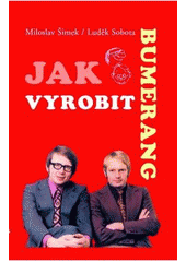 kniha Jak vyrobit bumerang, XYZ 2005