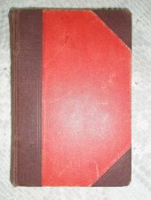 kniha Záhadná milenka román, Zmatlík a Palička 1933