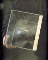 kniha Lukáš Rittstein vědomí věčně něžných já = awareness of eternally tender "myself", Galerie Zdeněk Sklenář 2009