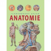 kniha Ilustrovaný atlas anatomie, Sun 2016