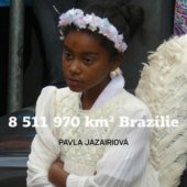 kniha 8 511 970 km² Brazílie, Radioservis 2010