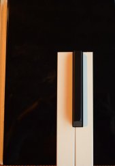 kniha Rudolf Firkušný, Bílý slon 1993