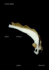 kniha Letný hrob, Knižná dielňa 2011