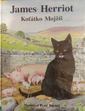 kniha Koťátko Mojžíš, Ametyst 1997