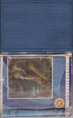 kniha Pro cizí štěstí Román, Novina 1934