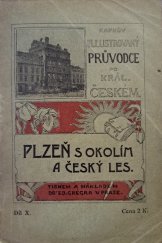 kniha Plzeň s okolím a Český les, Edvard Grégr 1902