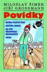 kniha Povídky, Šulc - Švarc 2019