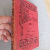 kniha Ostny a hroty Povídka o jednom sochaři, Alois Hynek 1886