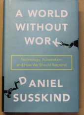 kniha A World Without Work Technology, Automation, and How We Should Respond, Metropolitan Books 2020