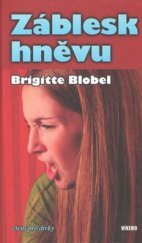 kniha Záblesk hněvu, Víkend  2008