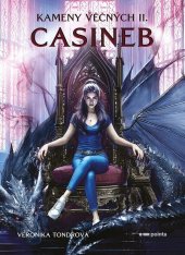 kniha Kameny věčných 2 Casineb, Pointa 2026
