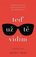 kniha Teď už tě vidím Podívat se pravdě do očí může být zatraceně těžké, když člověk ztrácí zrak, Domino 2015