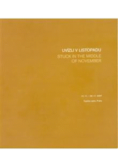 kniha Uvízli v listopadu = Stuck in the Middle of November : 10.11.-30.11.2007, Topičův salón, Praha, Galerie Dolmen 2007