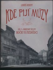 kniha Kde pijí múzy 3. - pražské šelmy kočky a medvídci, Sanch 2016