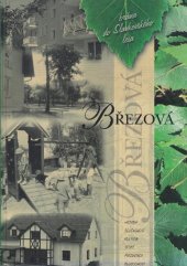 kniha Březová - brána do Slavkovského lesa, Město Březová 2006