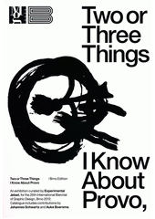 kniha Two or three things I know about Provo Brno edition : [Moravská galerie v Brně, Pražákův Palác, 22.6.-28.10.2012], Moravská galerie 2012