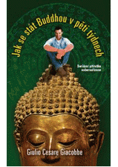 kniha Jak se stát buddhou v pěti týdnech (seriózní příručka seberealizace), Metafora 2007