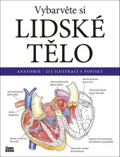 kniha Vybarvěte si lidské tělo Anatomie – 215 ilustrací s popisky, Zoner Press 2023