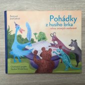 kniha Pohádky z husího brka Charitativní projekt, Nadace Divoké husy 2013