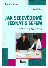 kniha Jak sebevědomě jednat s šéfem špičkové rady, tipy a příklady, Grada 2007