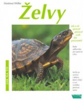 kniha Želvy jak o ně správně pečovat a jak jim porozumět : rady odborníka ke správnému chovu, Vašut 1998