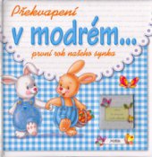 kniha Překvapení v modrém-- [první rok našeho synka], Fortuna Libri 2006