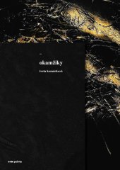 kniha Okamžiky, Pointa 2023