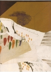 kniha Dalibor Chatrný orbe pictus, Galerie Brno 2004