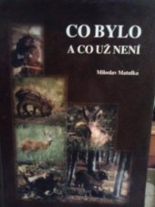 kniha Co bylo - a co už není, Sursum 2001