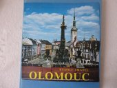 kniha Olomouc ve fotografii Rudolfa Smahela, Panorama 1990