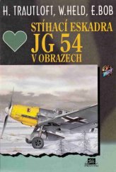 kniha Stíhací eskadra JG 54 v obrazech, Mustang 1995