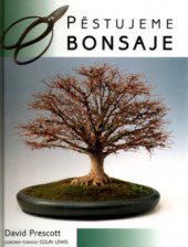 kniha Pěstujeme bonsaje, Beta 2004