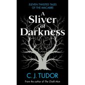 kniha A Sliver of Darkness, Michael Joseph 2022