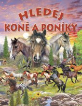 kniha Hledej koně a poníky, Sun 2008