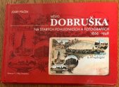 kniha Město Dobruška na starých pohlednicích a fotografiích (1866-1948), Město Dobruška 2002