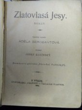 kniha Zlatovlasá Jesy Rom., Politika 1904