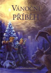kniha Vánoční příběh, Alfedus 2013