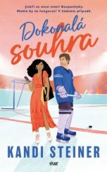 kniha Dokonalá souhra, Ikar 2025