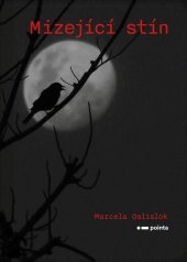 kniha Mizející stín, Pointa 2026