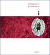 kniha Stroboskopy, Kniha Zlín 2011