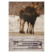 kniha Dobrodružné příběhy z kanadských hor a pralesů, Tomáš Nosek 2022