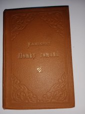 kniha Zlomky románu  Verše , J.Otto 1898