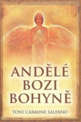 kniha Andělé, bozi a bohyně kniha a 45 karet, Synergie 2008