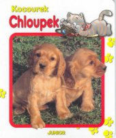 kniha Kocourek Chloupek, Junior 2003
