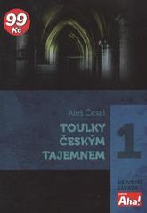 kniha Toulky českým tajemnem, XYZ 2011