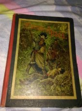 kniha V zemi Apačů, nebo, Lovci v amerických pralesích povídka pro mládež, Rudolf Storch 1889