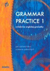 kniha Grammar practice 1 cvičebnica anglickej gramatiky pre začiatočníkov a mierne pokročilých, Didaktis 2004